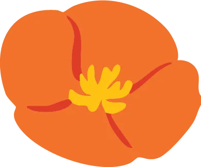 calpaktravelmalls.com