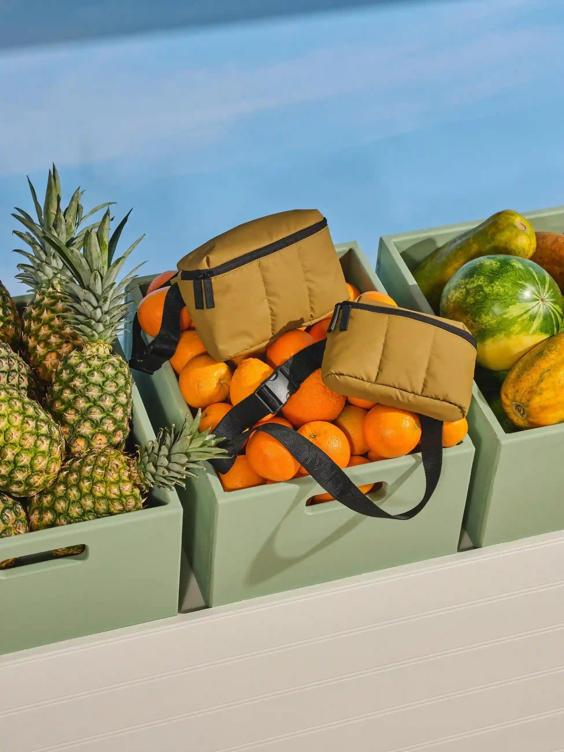 calpaktravelmalls.com